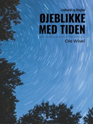 Øjeblikke med tiden (E-bog)