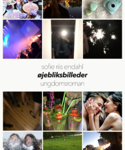 Øjebliksbilleder (Bog)