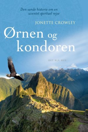 Ørnen og kondoren (E-bog)