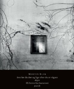 året Før Du Dør Og Lige Efter Du Er Vågnet - Morten Blok - Bog