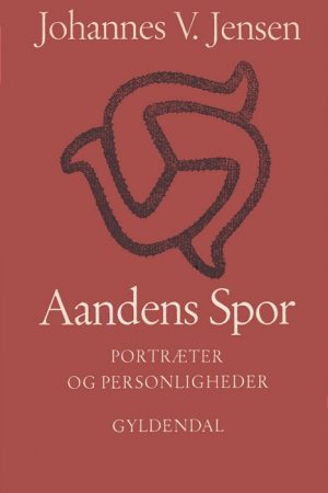 Aandens Spor (E-bog)