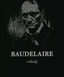 Baudelaire I Udvalg - Charles Baudelaire - Bog