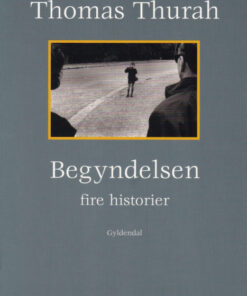 Begyndelsen (E-bog)