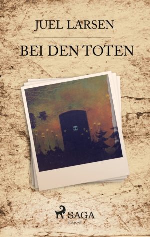 Bei den Toten (E-bog)