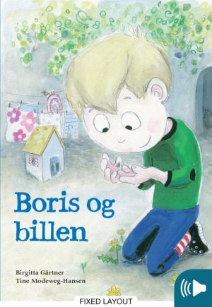 Boris og billen (E-bog)