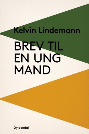 Brev til en ung mand (E-bog)