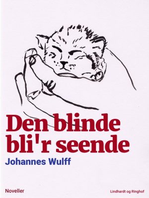 Den Blinde Blir Seende - Johannes Wulff - Bog