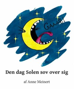 Den Dag Solen Sov Over Sig - Anne Meinert - Bog