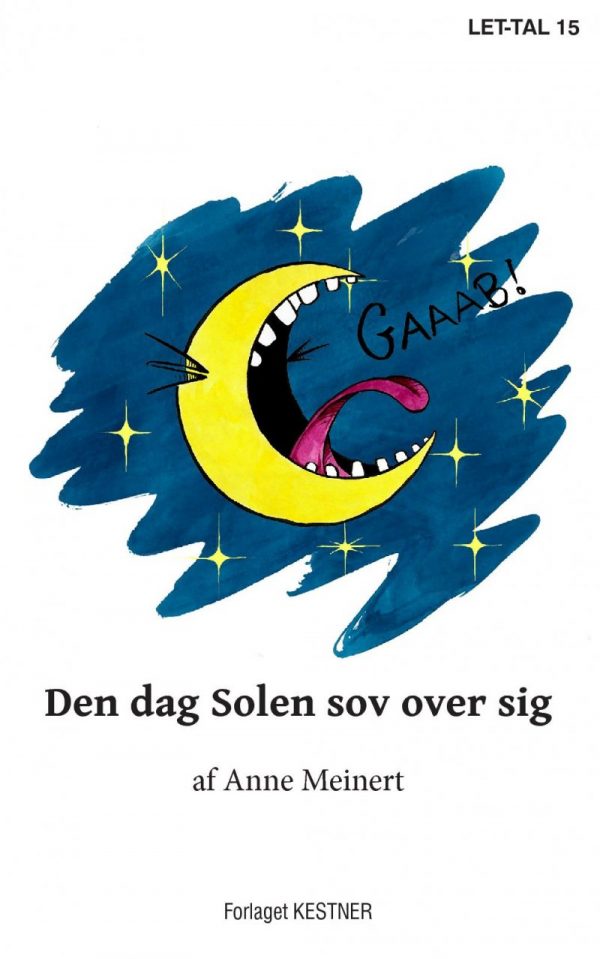 Den Dag Solen Sov Over Sig - Anne Meinert - Bog