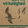 Den Ny Virkelighed - Jens Kruuse - Bog