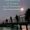 Den illegale indvandring til Europa - og til Danmark (E-bog)