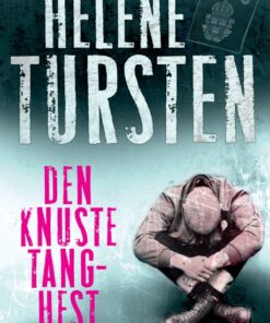 Den knuste Tang-hest (E-bog)