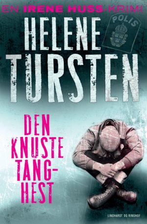 Den knuste Tang-hest (E-bog)