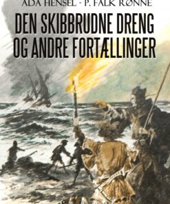 Den skibbrudne dreng og andre fortællinger (E-bog)