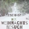 Der Weihnachtsbesuch (E-bog)