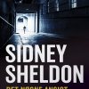 Det Nøgne Ansigt - Sidney Sheldon - Bog