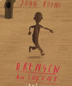 Drengen, der løb væk (E-bog)