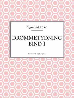 Drømmetydning bind 1 (E-bog)