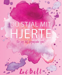 Du stjal mit hjerte (E-bog)