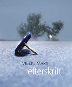 Efterskrift (E-bog)