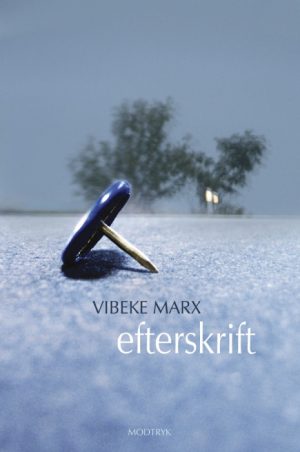 Efterskrift (E-bog)