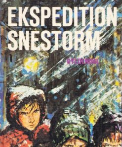 Ekspedition Snestorm (E-bog)