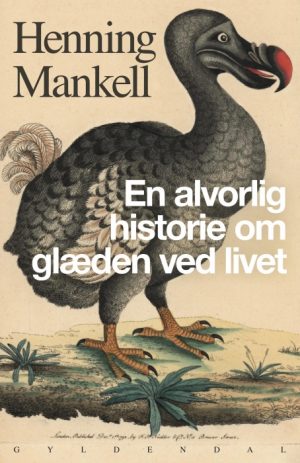 En alvorlig historie om glæden ved livet (E-bog)