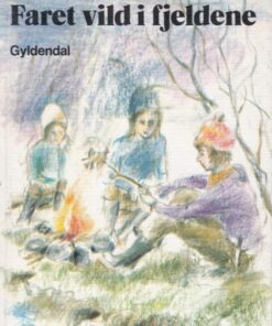 Faret vild i fjeldene (E-bog)