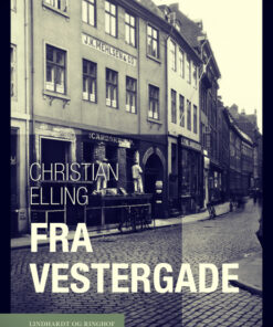 Fra Vestergade (E-bog)
