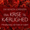 Fra krise til kærlighed (E-bog)