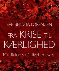 Fra krise til kærlighed (E-bog)