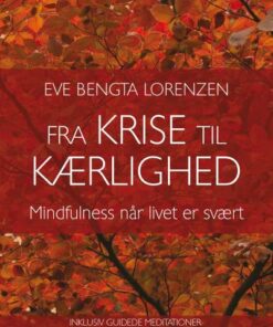 Fra krise til kærlighed (Lydbog)