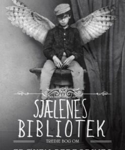 Frøken Peregrines sælsomme børn 3 - Sjælenes bibliotek (E-bog)
