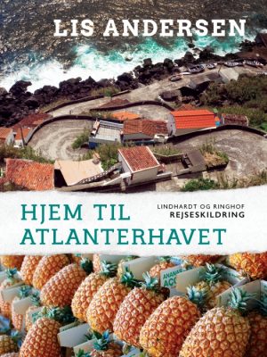 Hjem til Atlanterhavet (E-bog)