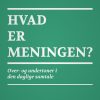 Hvad er meningen? Over- og undertoner i den daglige samtale (E-bog)