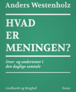 Hvad er meningen? Over- og undertoner i den daglige samtale (E-bog)