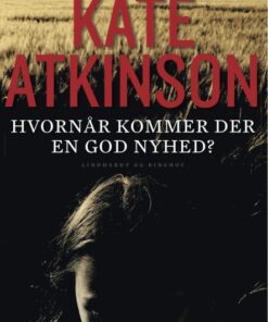 Hvornår kommer der en god nyhed? (E-bog)