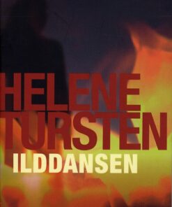 Ilddansen (E-bog)