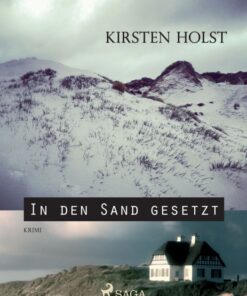 In den Sand gesetzt (E-bog)