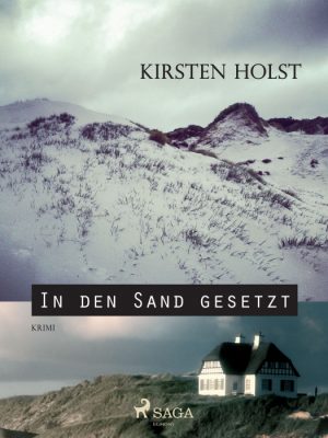 In den Sand gesetzt (E-bog)