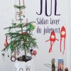JUL - sådan laver du julepynt (E-bog)