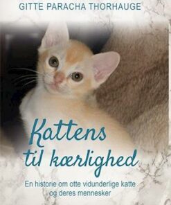 Kattens til kærlighed