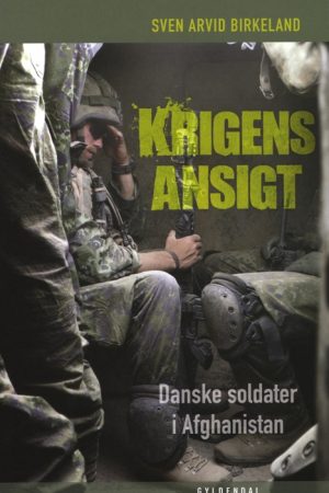 Krigens ansigt (E-bog)