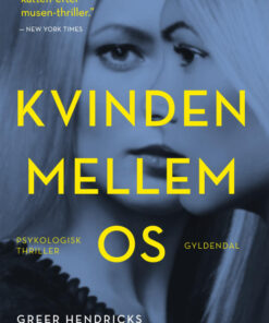 Kvinden mellem os (E-bog)