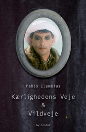 Kærlighedens veje & vildveje (E-bog)
