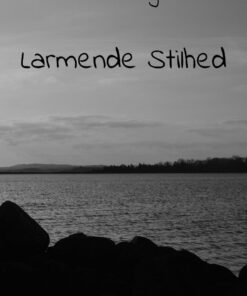 Larmende Stilhed - Nicholas Nørgaard - Bog