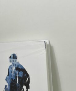 Lejlighedssange - Stine Pilgaard - Bog