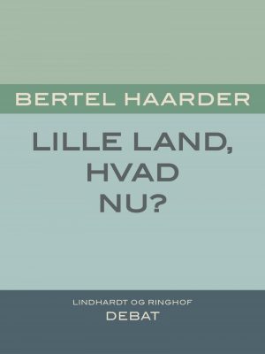 Lille Land, Hvad Nu? - Bertel Haarder - Bog