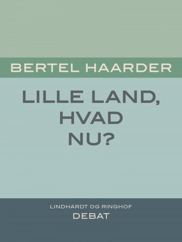 Lille Land, Hvad Nu? - Bertel Haarder - Bog