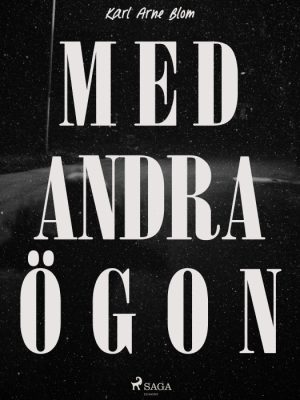 Med andra ögon (E-bog)